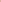 Women's Petra Wide Leg Pant | Soft Blush