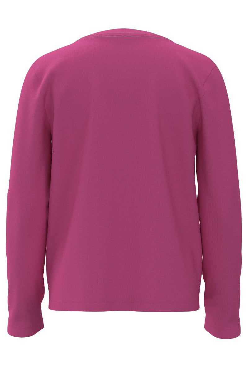 Color_Tulip Pink Blooming Forest