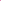 Lawai | Women's Ruche Swim Shirt | Magnolia Pink