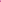 Women's Acropora Tankini with Scallop Detail  | Fuchsia Bouquet