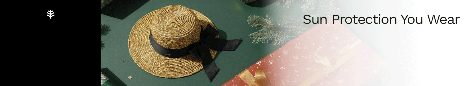 Main Banner for Collection Accessories