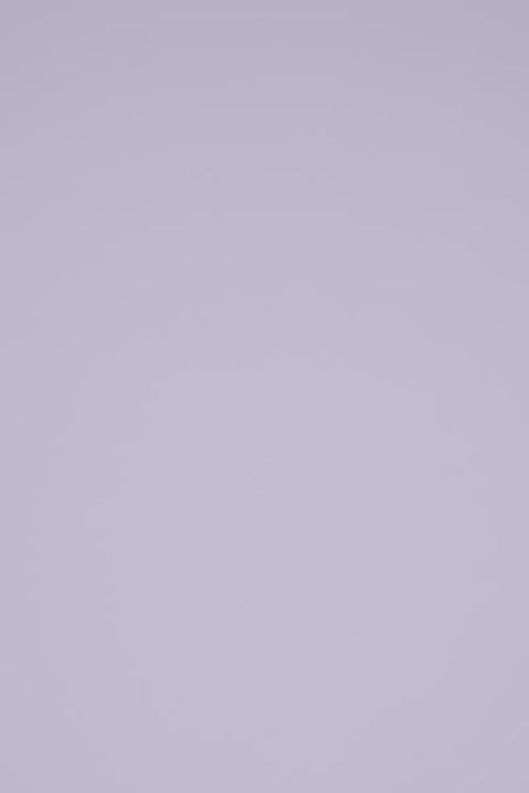 Color_White/Steel Grey